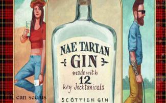 scottish gin 