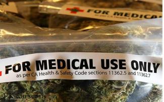 Cannabis