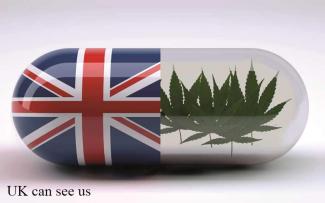 Cannabis